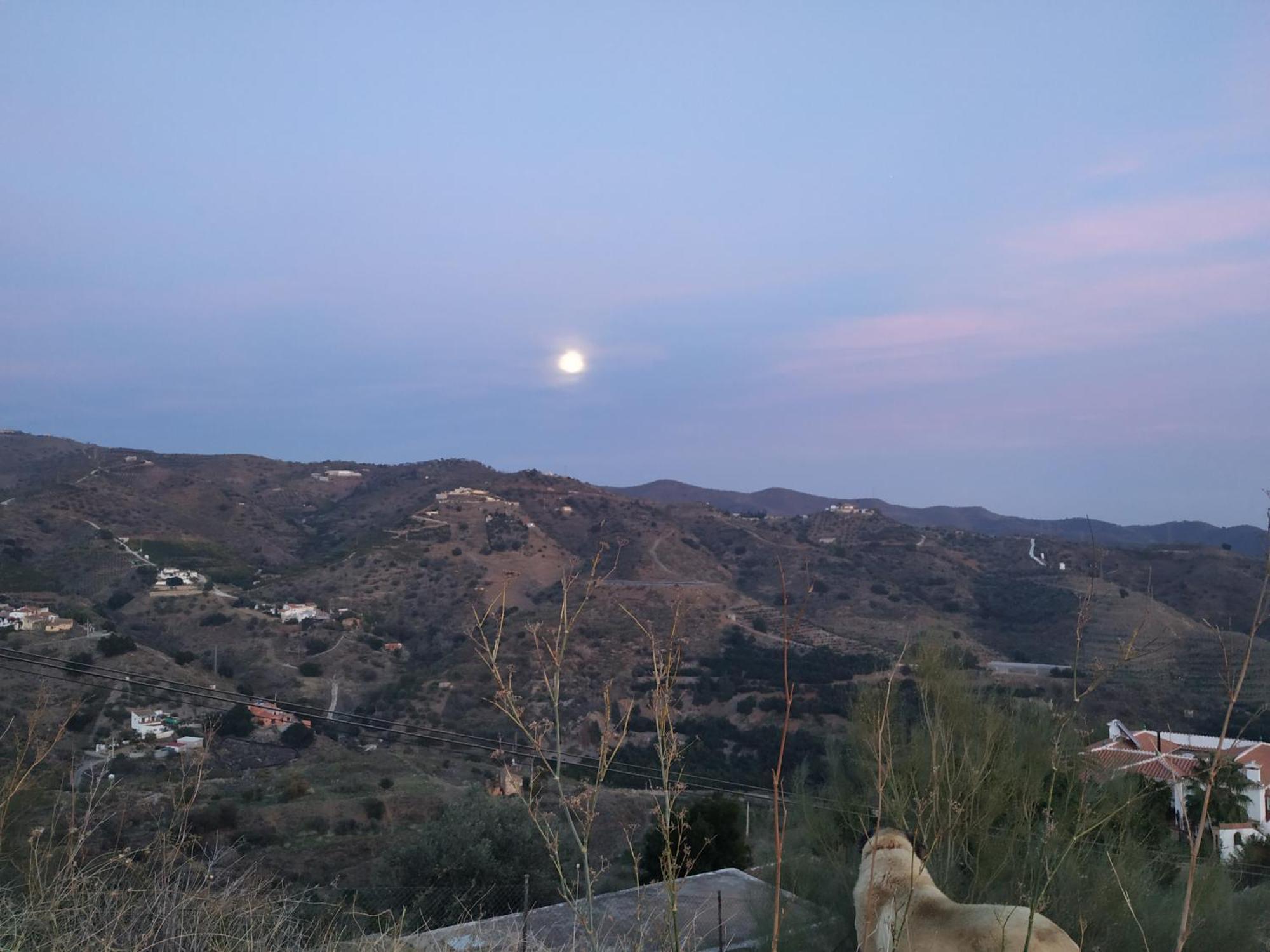 Paraje El Pozo Малага Экстерьер фото