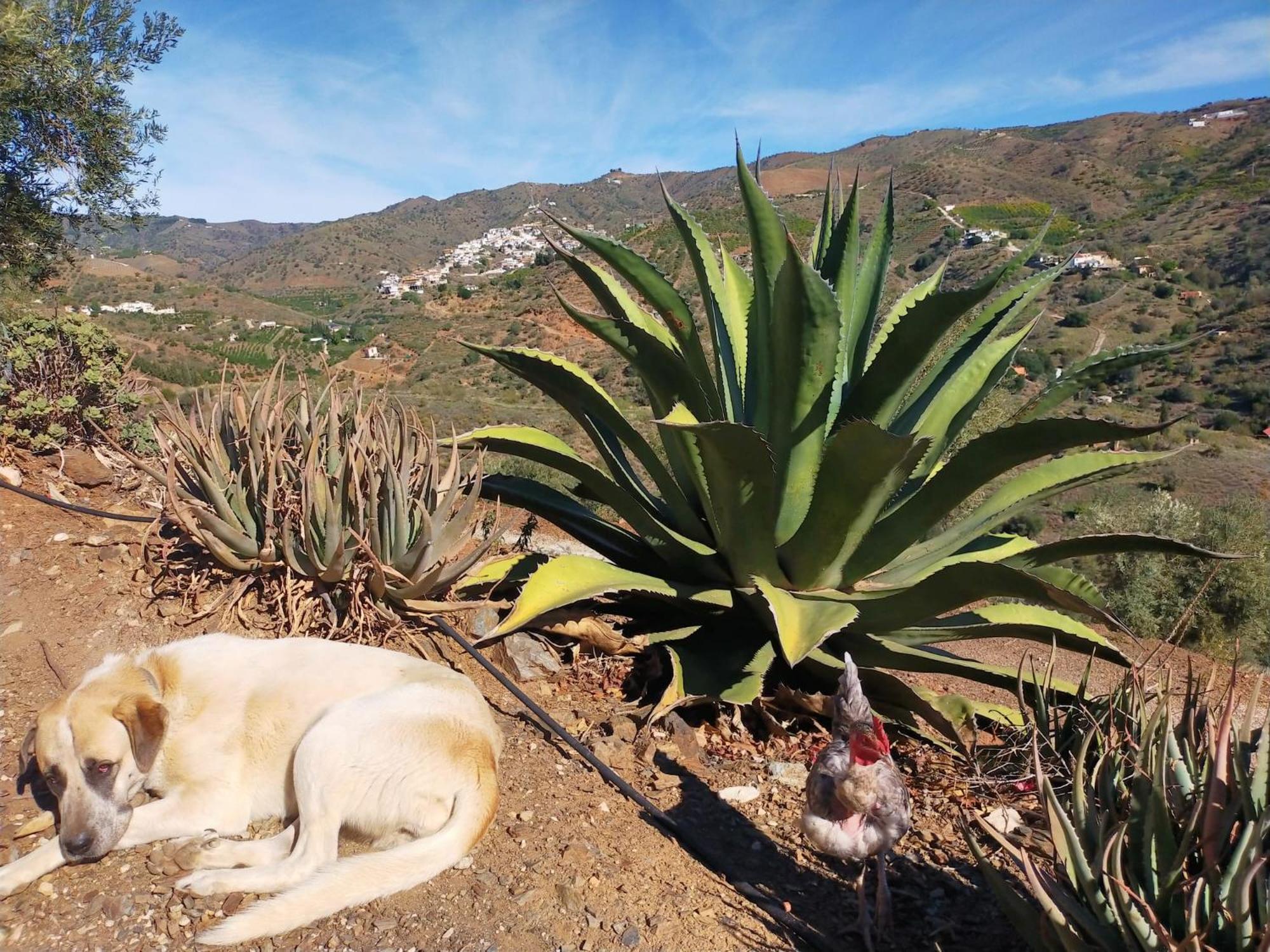 Paraje El Pozo Малага Экстерьер фото